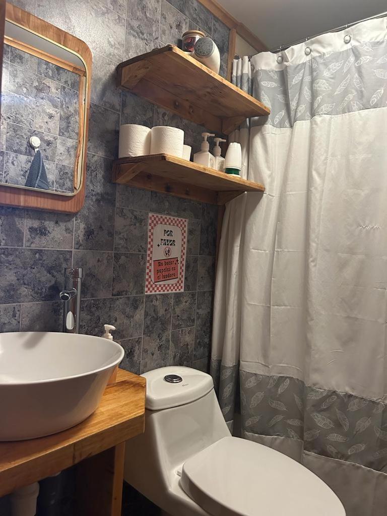 Cabanas El Manzano Coyhaique Εξωτερικό φωτογραφία